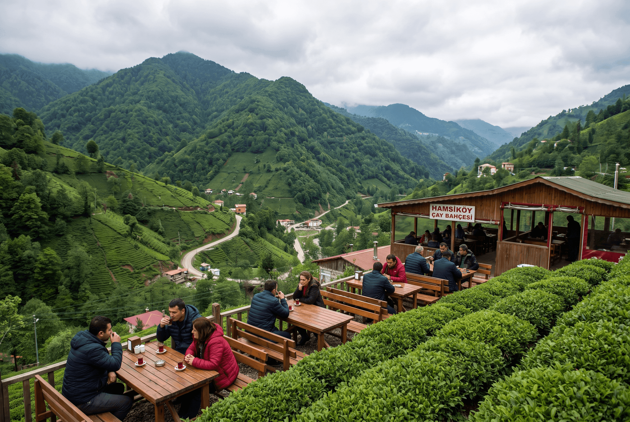 Hamsiköy village tea gardens and green hills near Trabzon