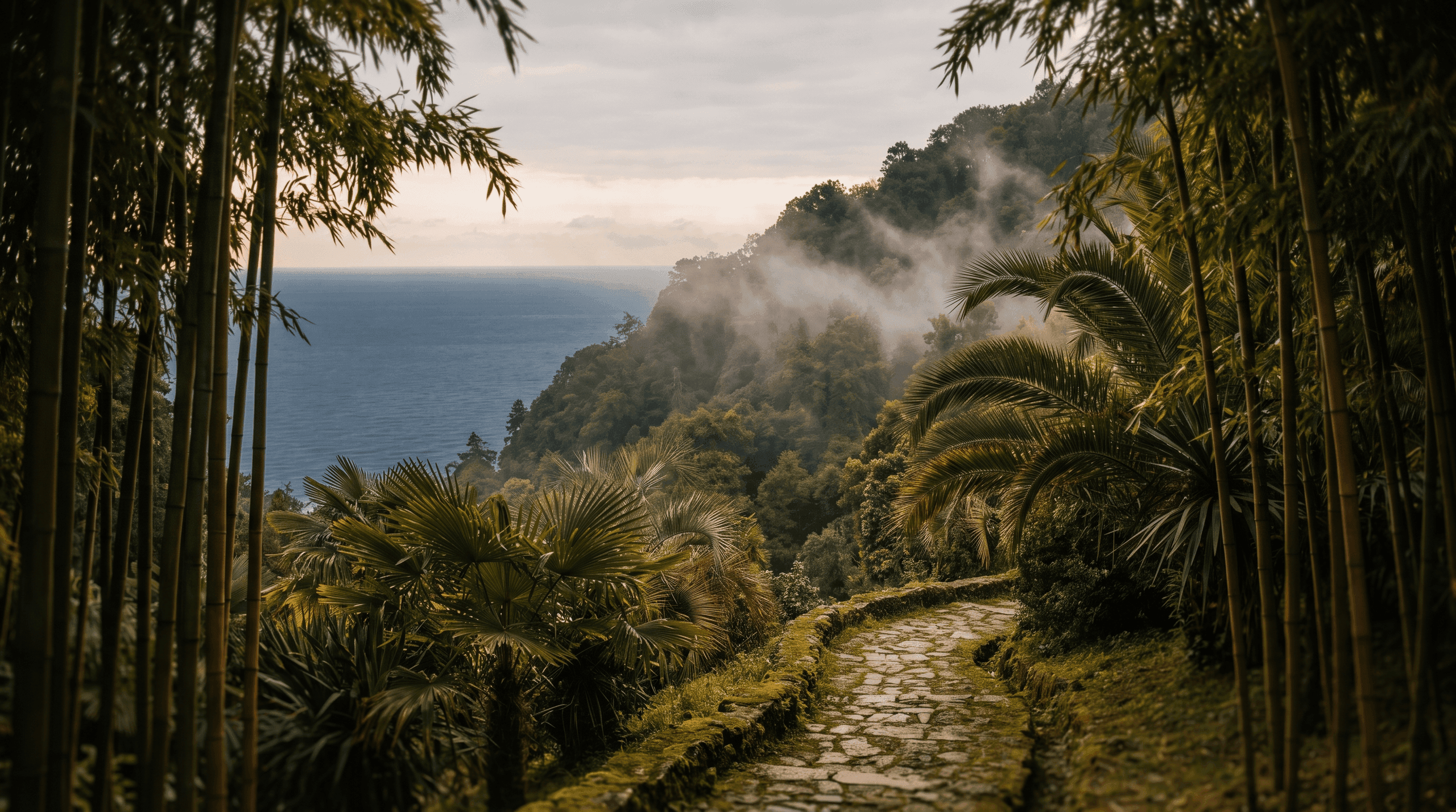 Misty subtropical slopes of Batumi Botanical Garden above the Black Sea